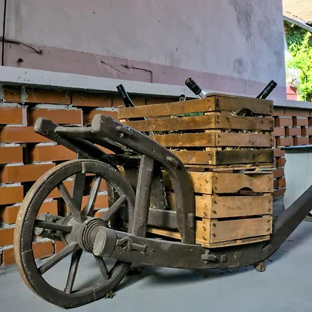 Apartment Roemerweg By Interhome *